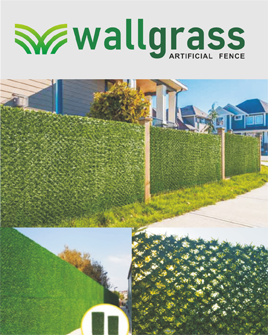 Wallgrass